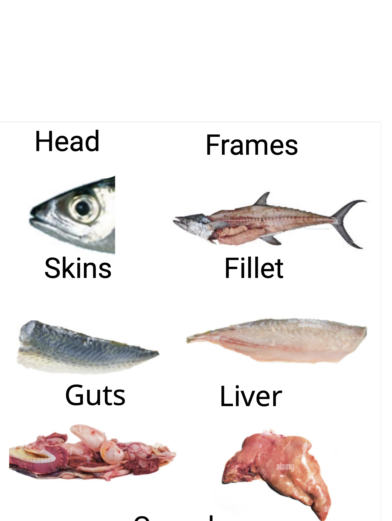 Fish body parts.