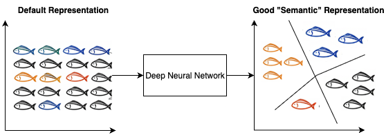 This figure illustrates a good ``semantic representation". Imagine that the different colors of fish represent fish from