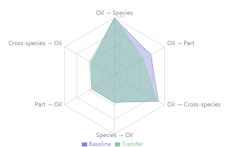 Test Classification Improvements Radar Chart: This radar chart provides a comparative view of Baseline (green) and Trans